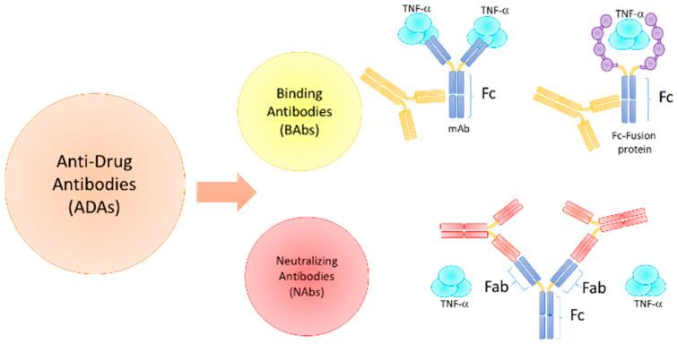 https://cdn.ncbi.nlm.nih.gov/pmc/blobs/c621/10179320/055b89344444/jcm-12-03271-g001.jpg