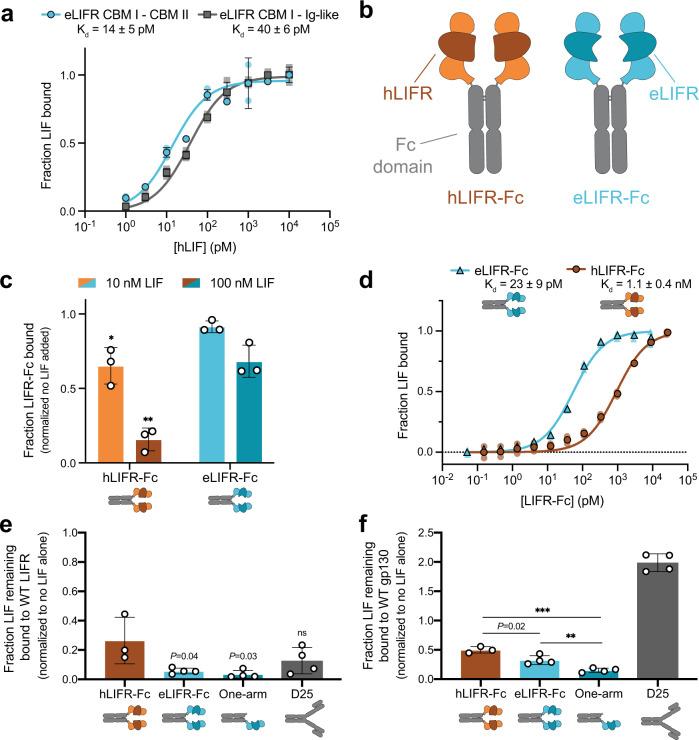 https://cdn.ncbi.nlm.nih.gov/pmc/blobs/c622/8041770/b37cfdab0c5b/42003_2021_1928_Fig3_HTML.jpg
