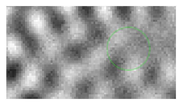 https://cdn.ncbi.nlm.nih.gov/pmc/blobs/c624/3638697/418b6ff974aa/CMMM2013-912920.001.jpg