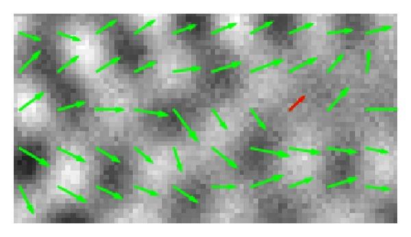https://cdn.ncbi.nlm.nih.gov/pmc/blobs/c624/3638697/81907aabba51/CMMM2013-912920.004.jpg