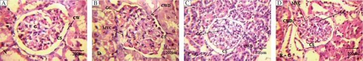 https://cdn.ncbi.nlm.nih.gov/pmc/blobs/c625/3596720/271757a79595/jbr-25-06-411-g001.jpg
