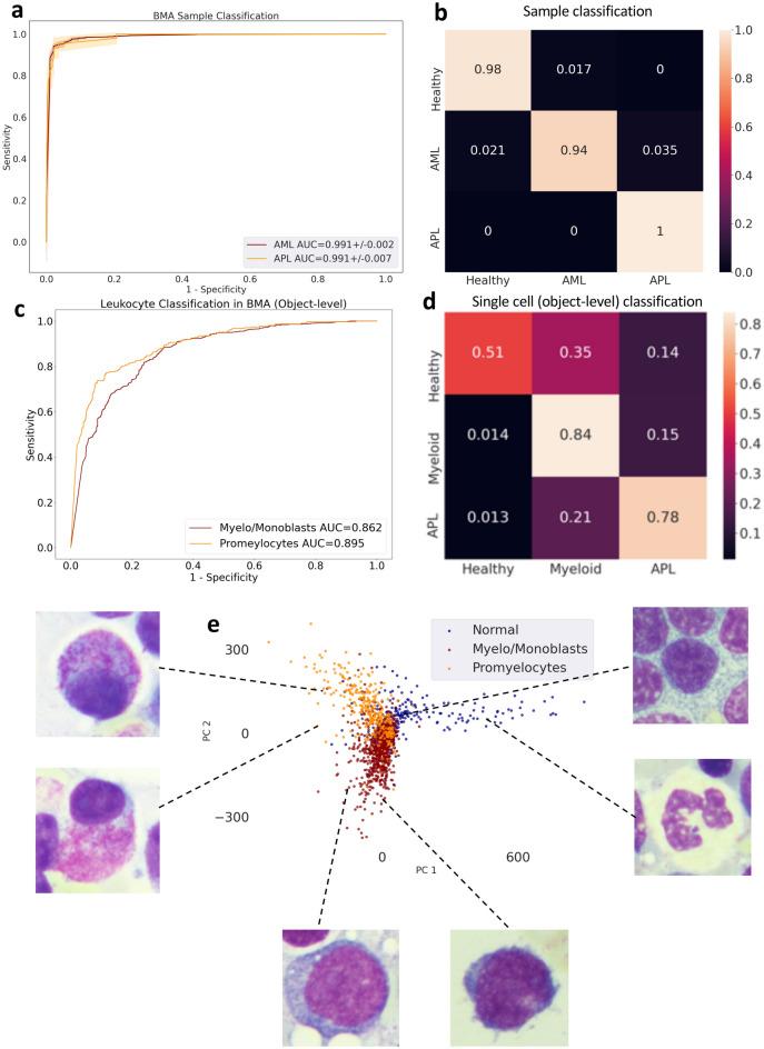 https://cdn.ncbi.nlm.nih.gov/pmc/blobs/c625/9925435/18764d83ab4f/41598_2023_29160_Fig5_HTML.jpg