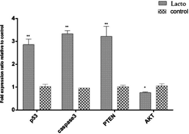 https://cdn.ncbi.nlm.nih.gov/pmc/blobs/c626/10897561/aec99d5fb529/IJBMS-27-447-g004.jpg