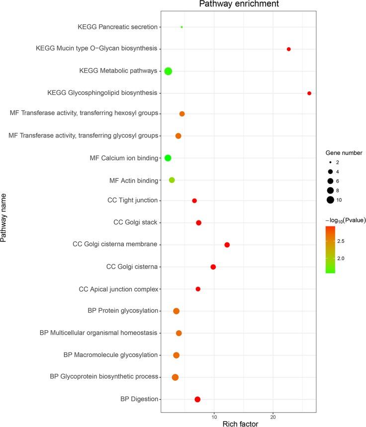 https://cdn.ncbi.nlm.nih.gov/pmc/blobs/c627/5370003/25cebf16048b/oncotarget-08-16811-g012.jpg