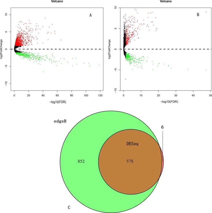 https://cdn.ncbi.nlm.nih.gov/pmc/blobs/c627/5370003/6303fa3c54d3/oncotarget-08-16811-g001.jpg