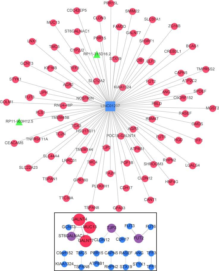 https://cdn.ncbi.nlm.nih.gov/pmc/blobs/c627/5370003/713a05d98043/oncotarget-08-16811-g010.jpg