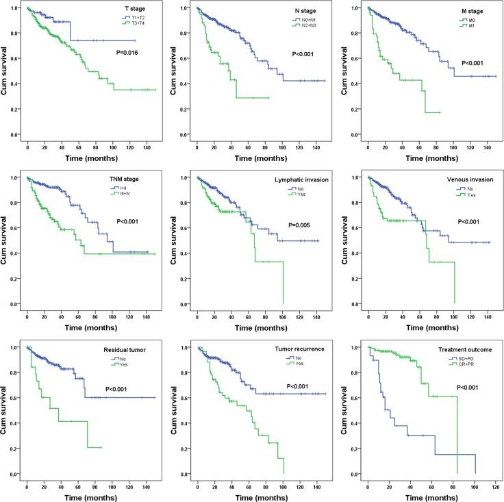 https://cdn.ncbi.nlm.nih.gov/pmc/blobs/c627/5370003/91ebee4ef1ad/oncotarget-08-16811-g006.jpg