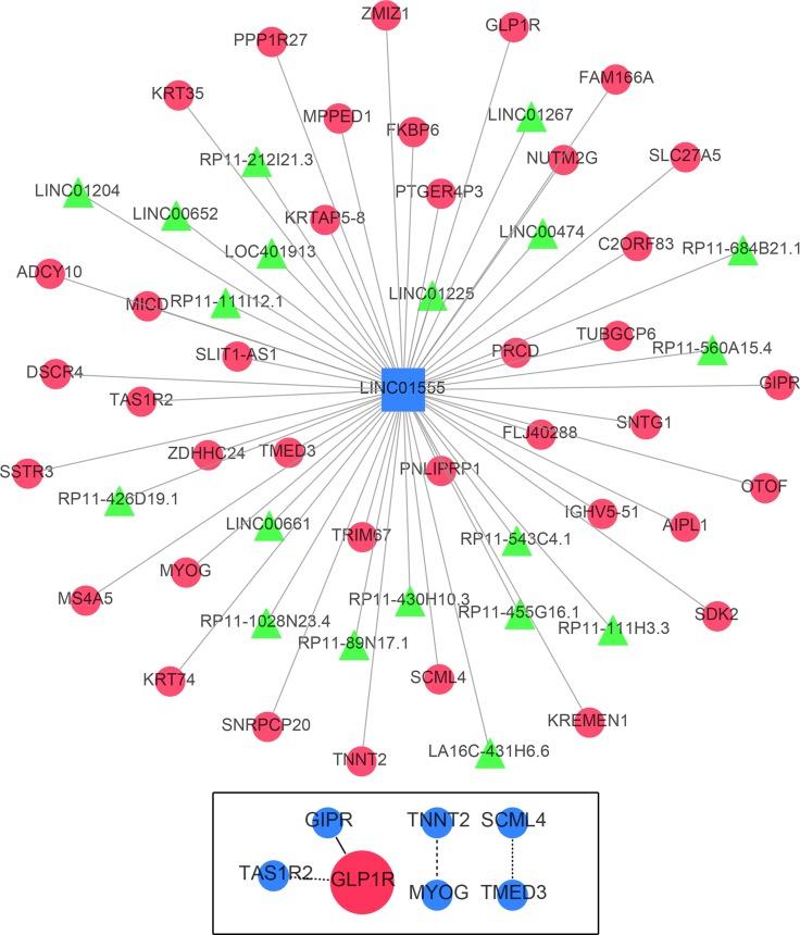 https://cdn.ncbi.nlm.nih.gov/pmc/blobs/c627/5370003/e9a465f0fe4e/oncotarget-08-16811-g011.jpg