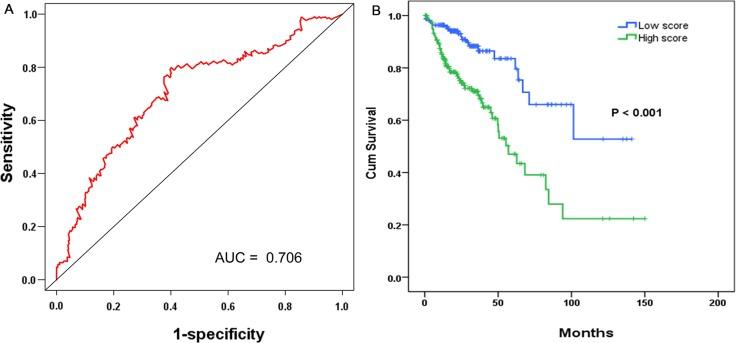 https://cdn.ncbi.nlm.nih.gov/pmc/blobs/c627/5370003/f335ee64dd97/oncotarget-08-16811-g005.jpg
