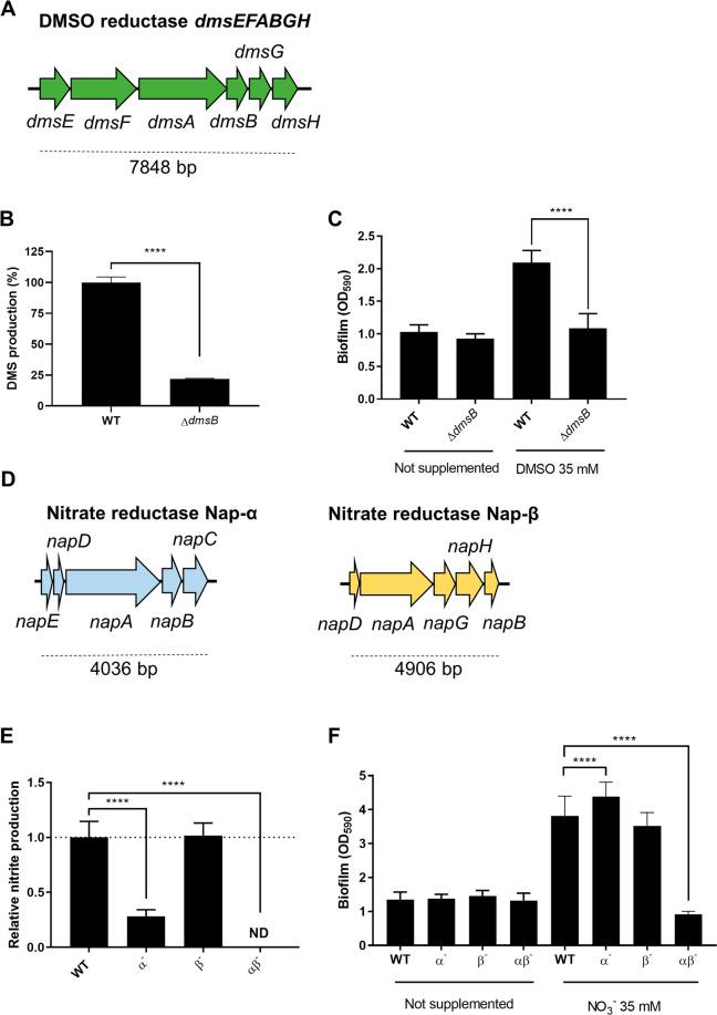 https://cdn.ncbi.nlm.nih.gov/pmc/blobs/c627/7840931/1ff41632c1fe/41522_2020_177_Fig4_HTML.jpg