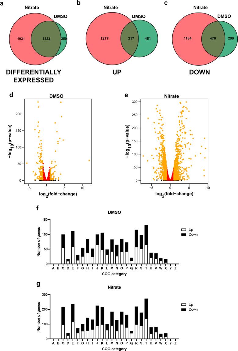 https://cdn.ncbi.nlm.nih.gov/pmc/blobs/c627/7840931/30f32190281b/41522_2020_177_Fig6_HTML.jpg