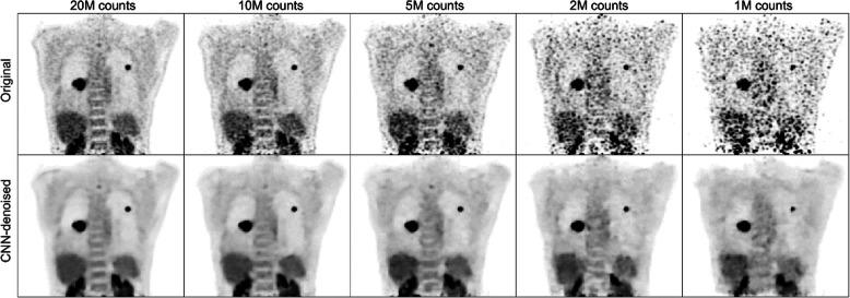 https://cdn.ncbi.nlm.nih.gov/pmc/blobs/c628/7505915/b3b8ebe9a71b/13550_2020_695_Fig2_HTML.jpg