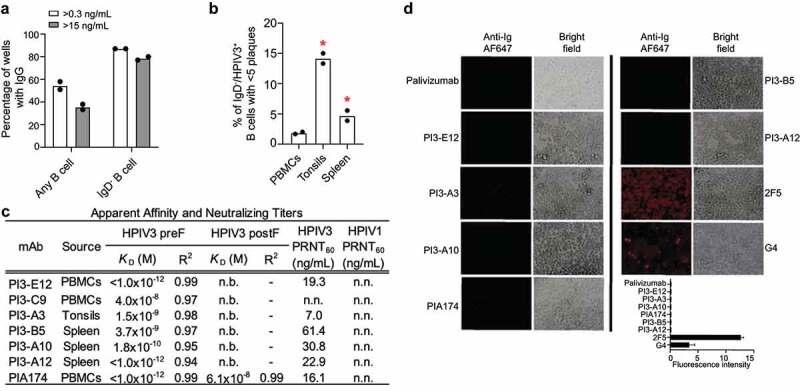 https://cdn.ncbi.nlm.nih.gov/pmc/blobs/c628/8078717/183e59789d26/KMAB_A_1912884_F0003_OC.jpg