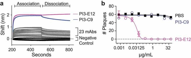 https://cdn.ncbi.nlm.nih.gov/pmc/blobs/c628/8078717/c6c22debb178/KMAB_A_1912884_F0002_OC.jpg