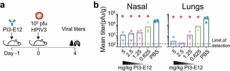 https://cdn.ncbi.nlm.nih.gov/pmc/blobs/c628/8078717/f9a465b4e016/KMAB_A_1912884_F0005_OC.jpg