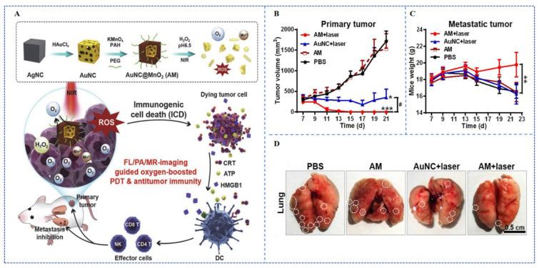https://cdn.ncbi.nlm.nih.gov/pmc/blobs/c629/10675361/a993d6b67443/pharmaceutics-15-02617-g007.jpg