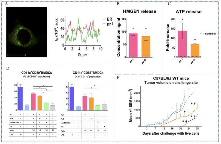 https://cdn.ncbi.nlm.nih.gov/pmc/blobs/c629/10675361/cc536153ecb9/pharmaceutics-15-02617-g003.jpg