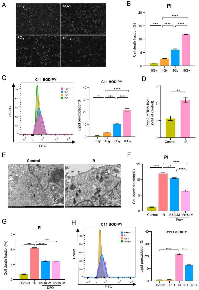 https://cdn.ncbi.nlm.nih.gov/pmc/blobs/c629/11274403/4d3be23d1645/biomolecules-14-00879-g003.jpg
