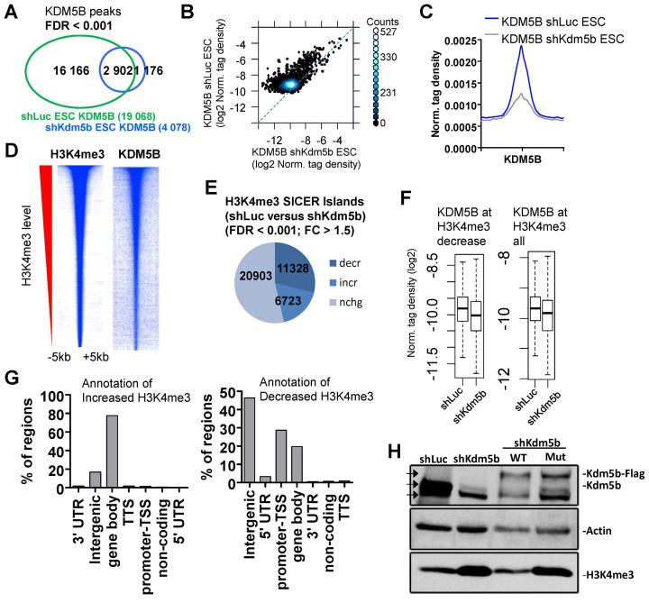 https://cdn.ncbi.nlm.nih.gov/pmc/blobs/c629/5499819/425271f0dbfd/gkx251fig1.jpg