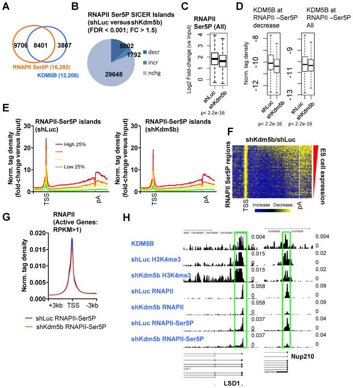 https://cdn.ncbi.nlm.nih.gov/pmc/blobs/c629/5499819/cf67a120e3a6/gkx251fig3.jpg