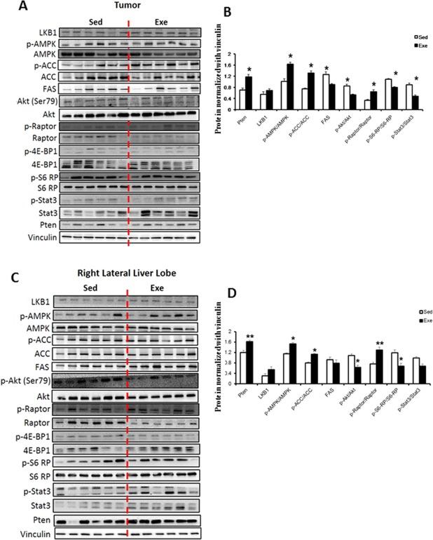 https://cdn.ncbi.nlm.nih.gov/pmc/blobs/c629/5944574/53df35b2a43c/HEP4-2-607-g003.jpg