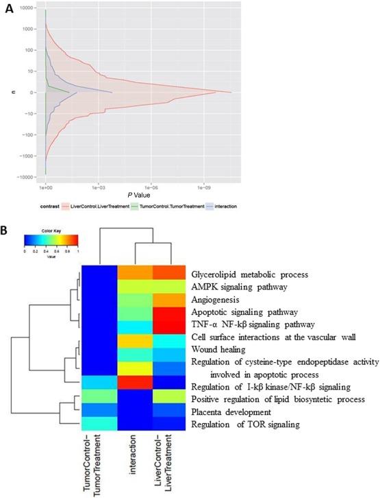 https://cdn.ncbi.nlm.nih.gov/pmc/blobs/c629/5944574/72a2abe135e0/HEP4-2-607-g004.jpg