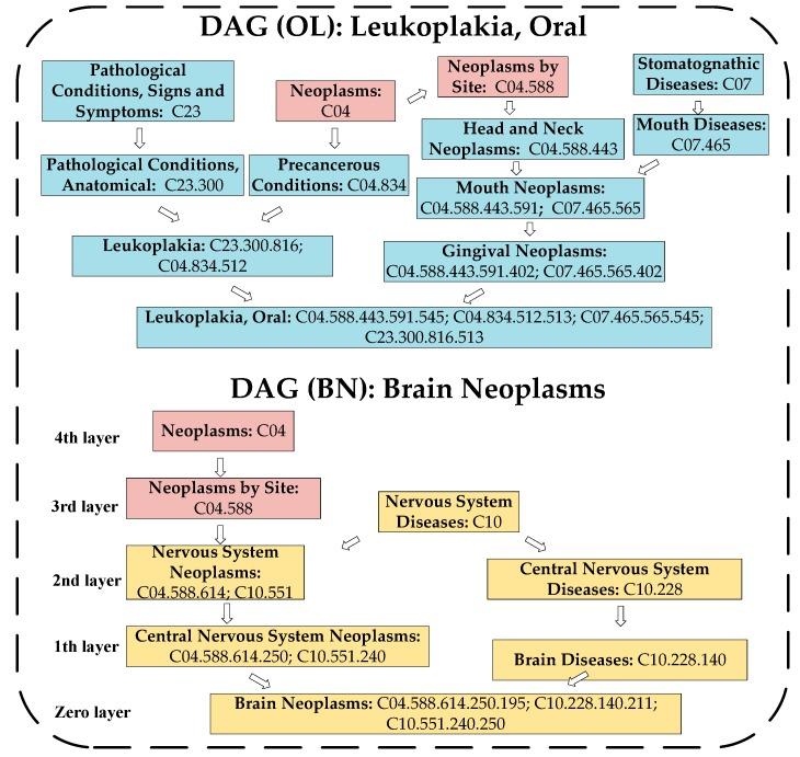 https://cdn.ncbi.nlm.nih.gov/pmc/blobs/c62a/6337518/8896554d101f/ijms-20-00110-g003.jpg