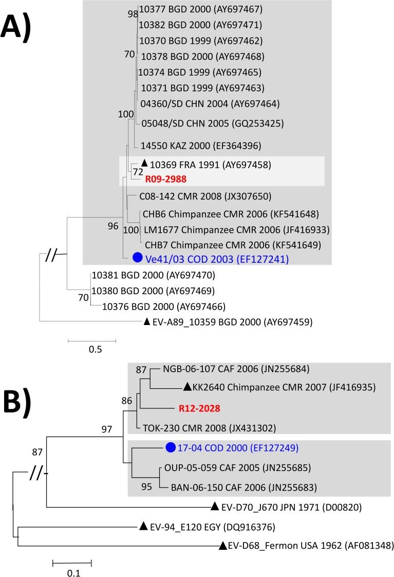 https://cdn.ncbi.nlm.nih.gov/pmc/blobs/c62b/6505894/dfbc0f35526d/pntd.0007335.g002.jpg