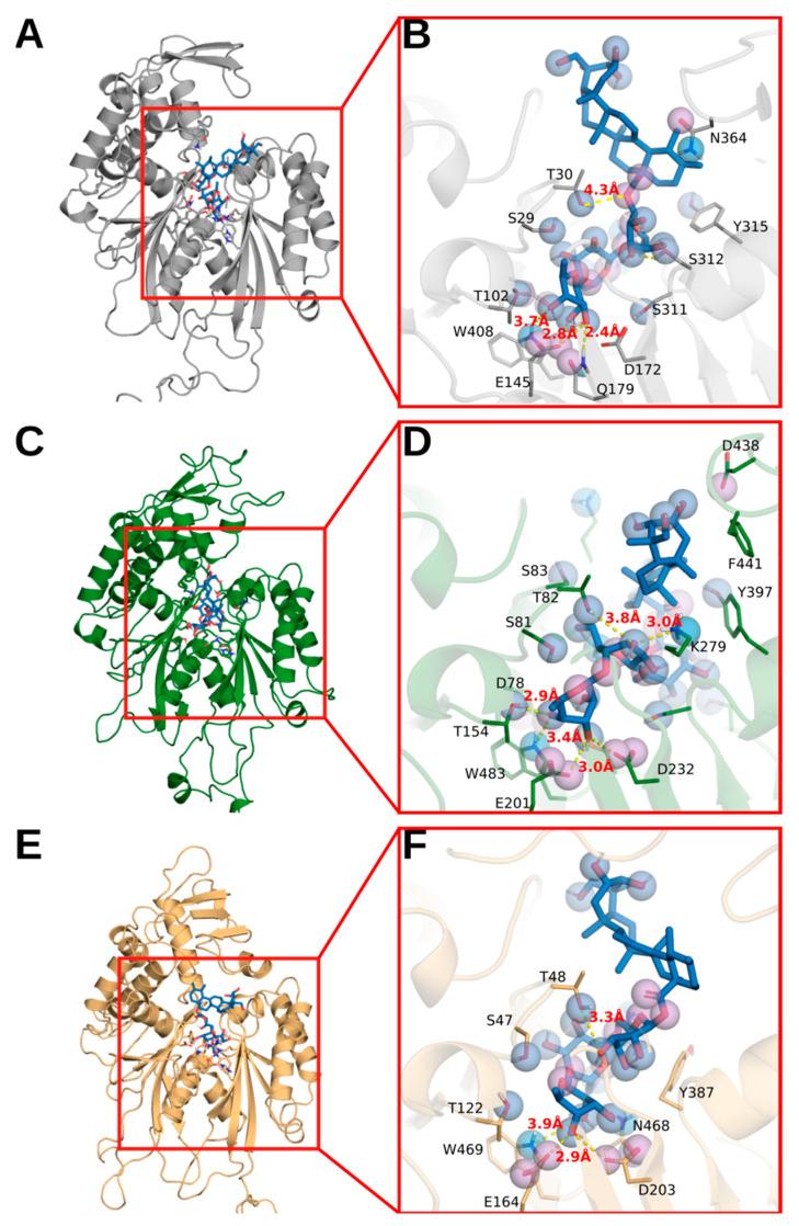 https://cdn.ncbi.nlm.nih.gov/pmc/blobs/c62c/9143675/18b83671245a/pharmaceutics-14-01071-g005.jpg
