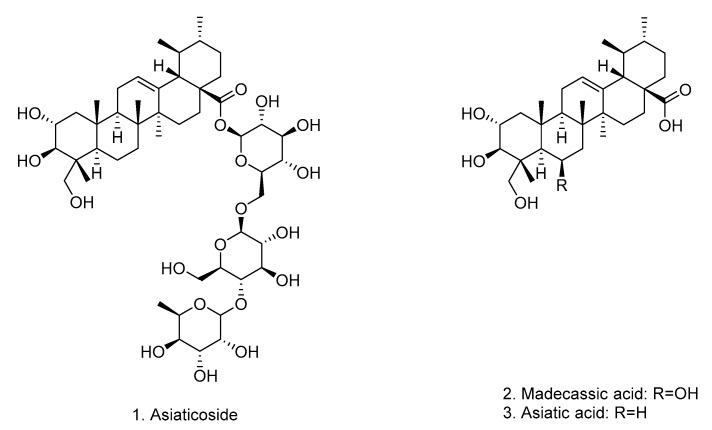 https://cdn.ncbi.nlm.nih.gov/pmc/blobs/c62c/9143675/3353a626efc2/pharmaceutics-14-01071-g003.jpg