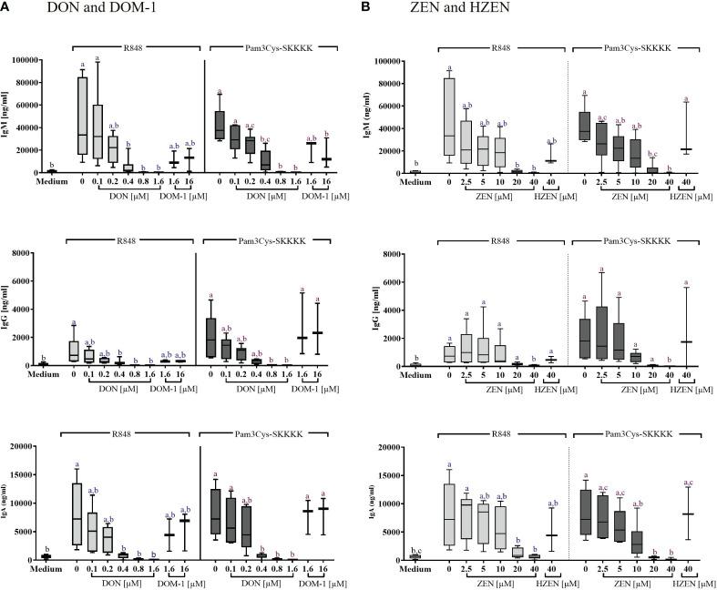 https://cdn.ncbi.nlm.nih.gov/pmc/blobs/c62d/10915041/0d9644924bf0/fimmu-15-1338937-g004.jpg