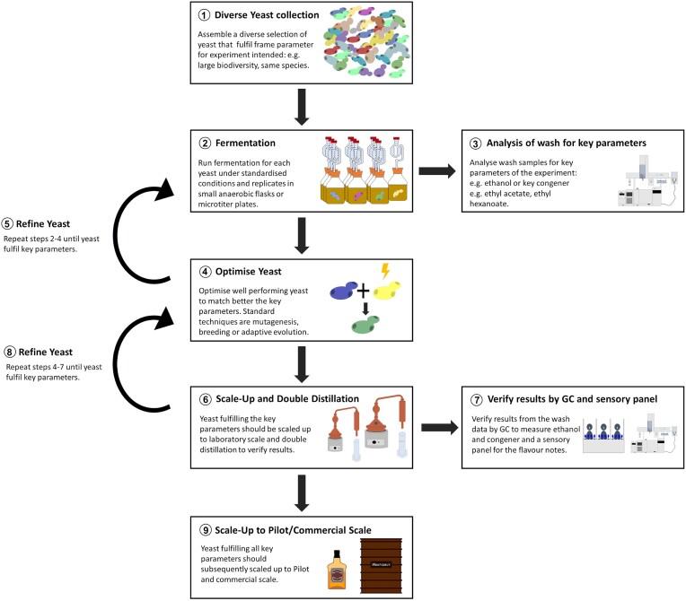 https://cdn.ncbi.nlm.nih.gov/pmc/blobs/c62f/11095643/b0d292a874b1/foae017fig2.jpg