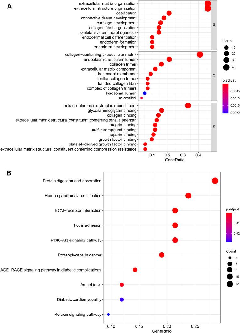 https://cdn.ncbi.nlm.nih.gov/pmc/blobs/c62f/9231633/1a35a8321dae/IJGM-15-5701-g0009.jpg