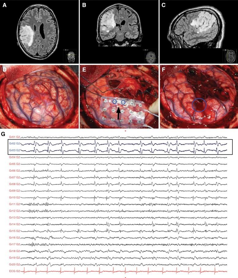 https://cdn.ncbi.nlm.nih.gov/pmc/blobs/c630/11327616/71565d8d589d/vdae125_fig1.jpg