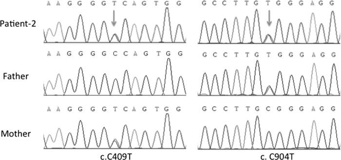 https://cdn.ncbi.nlm.nih.gov/pmc/blobs/c630/6147104/7cd1de202277/IRNF_A_1487858_F0003_B.jpg
