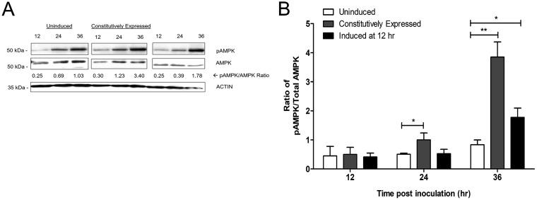 https://cdn.ncbi.nlm.nih.gov/pmc/blobs/c632/9387300/4d76cef0aeed/iai.00155-22-f005.jpg