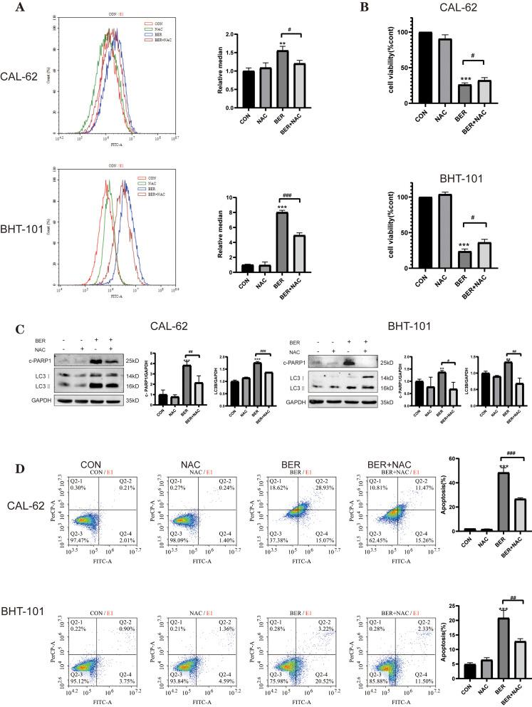 https://cdn.ncbi.nlm.nih.gov/pmc/blobs/c633/10312214/24b4102bdde7/DDDT-17-1889-g0006.jpg