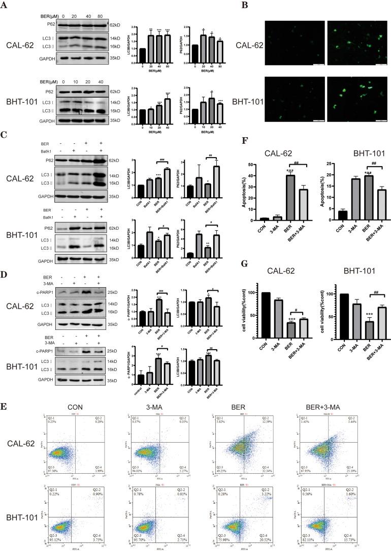 https://cdn.ncbi.nlm.nih.gov/pmc/blobs/c633/10312214/8b4764d5dab5/DDDT-17-1889-g0003.jpg