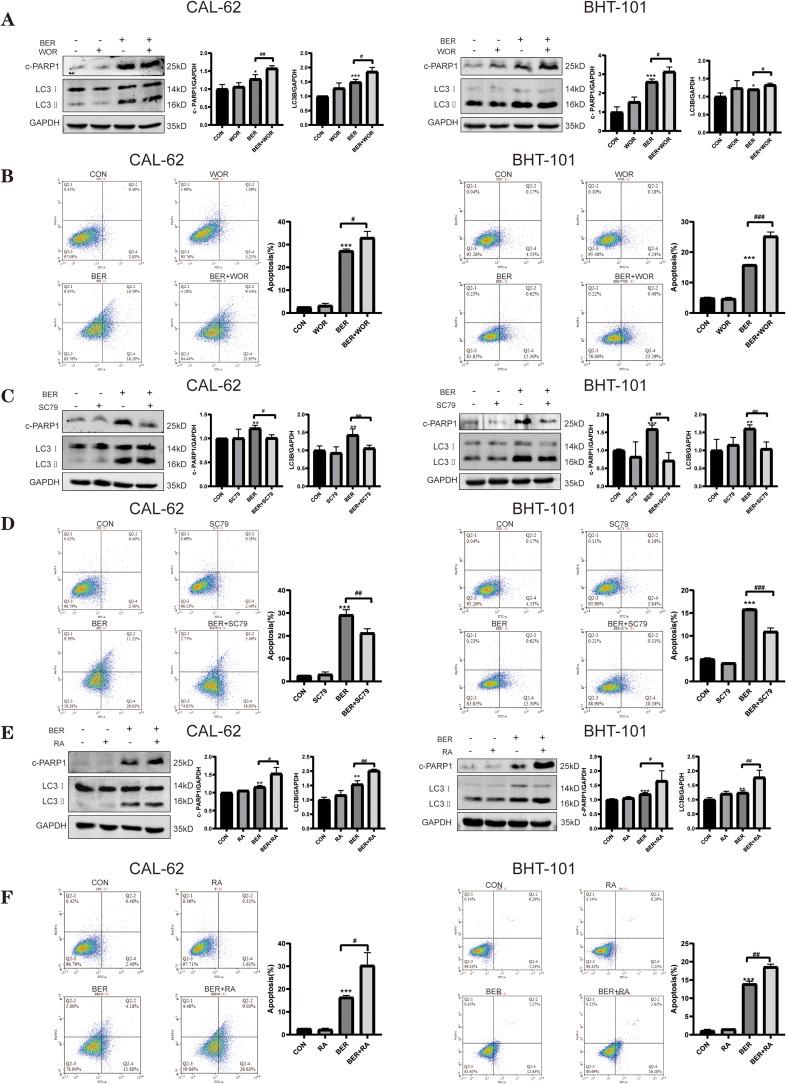 https://cdn.ncbi.nlm.nih.gov/pmc/blobs/c633/10312214/9bde76eea120/DDDT-17-1889-g0005.jpg