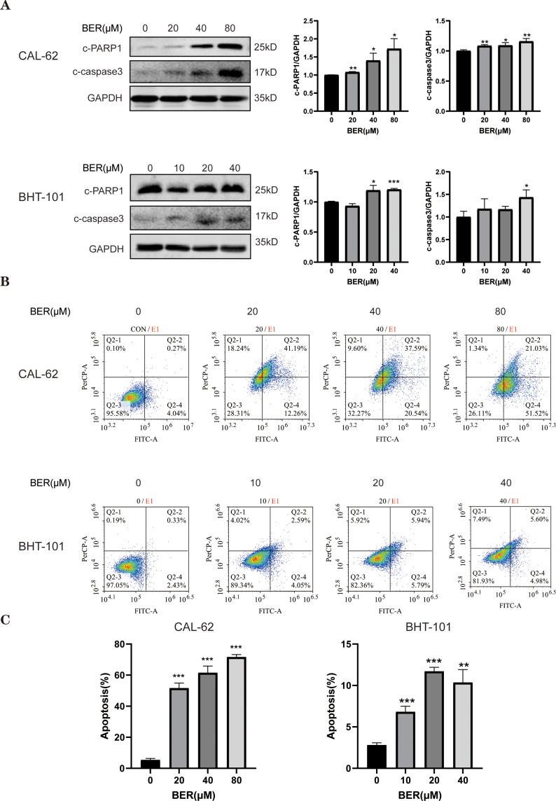https://cdn.ncbi.nlm.nih.gov/pmc/blobs/c633/10312214/c2d80d82cc6a/DDDT-17-1889-g0002.jpg