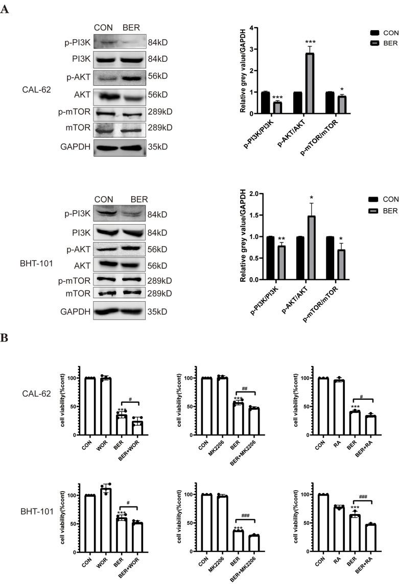 https://cdn.ncbi.nlm.nih.gov/pmc/blobs/c633/10312214/d2b214a35760/DDDT-17-1889-g0004.jpg