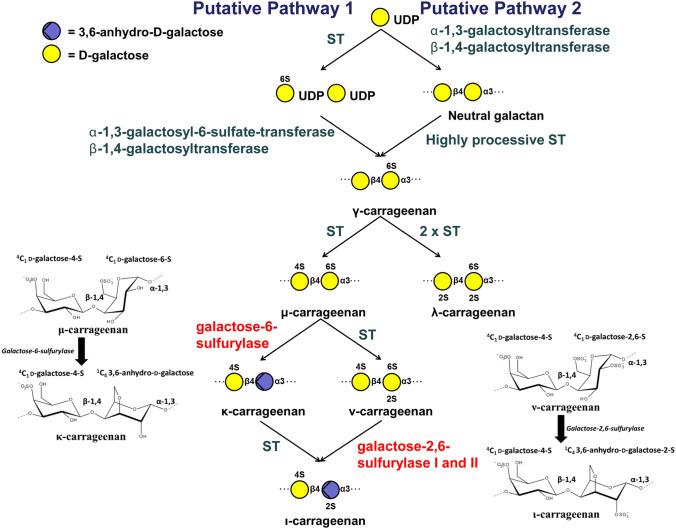 https://cdn.ncbi.nlm.nih.gov/pmc/blobs/c633/7359372/5cd2f5a9d735/41598_2020_67728_Fig3_HTML.jpg