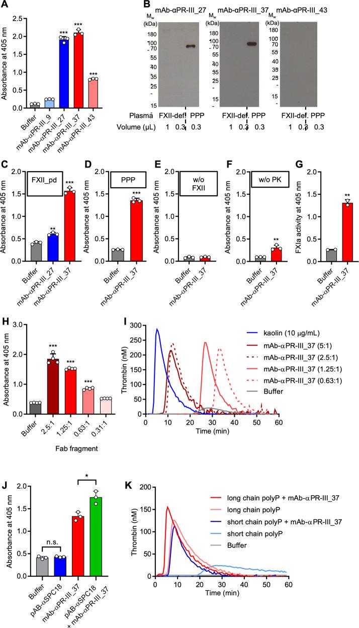 https://cdn.ncbi.nlm.nih.gov/pmc/blobs/c634/8458485/2717c0b1ecb4/41467_2021_25888_Fig7_HTML.jpg