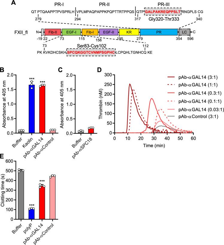 https://cdn.ncbi.nlm.nih.gov/pmc/blobs/c634/8458485/40a2ade2c2c3/41467_2021_25888_Fig6_HTML.jpg