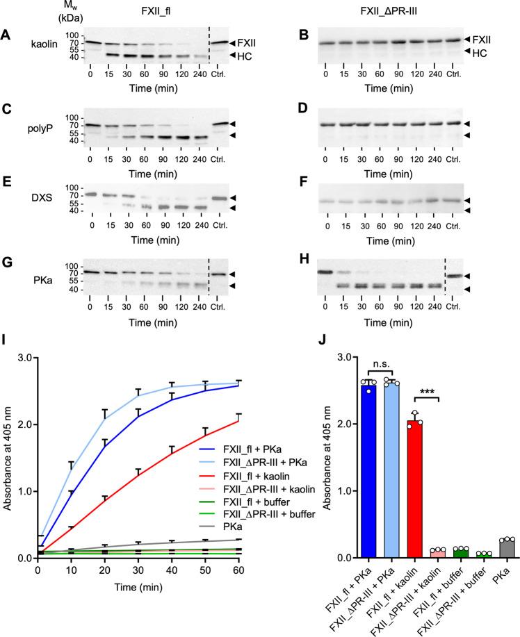 https://cdn.ncbi.nlm.nih.gov/pmc/blobs/c634/8458485/6ae328bf9532/41467_2021_25888_Fig3_HTML.jpg