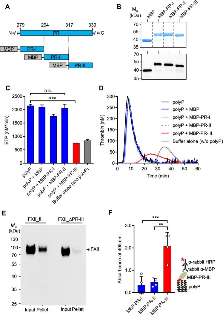 https://cdn.ncbi.nlm.nih.gov/pmc/blobs/c634/8458485/898af78059f8/41467_2021_25888_Fig4_HTML.jpg