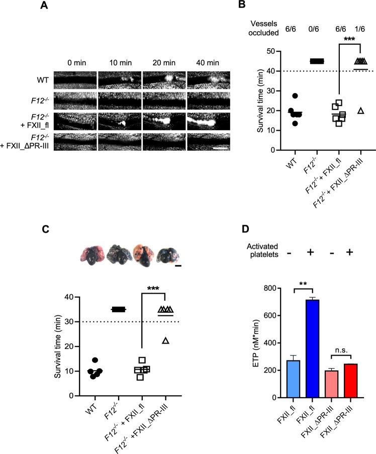 https://cdn.ncbi.nlm.nih.gov/pmc/blobs/c634/8458485/bfc00b158a76/41467_2021_25888_Fig5_HTML.jpg