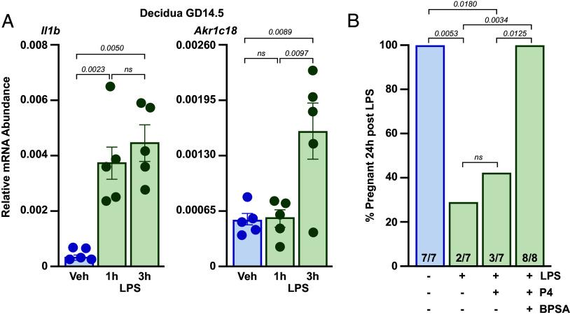 https://cdn.ncbi.nlm.nih.gov/pmc/blobs/c635/11194587/20937d9b10df/pnas.2400601121fig05.jpg