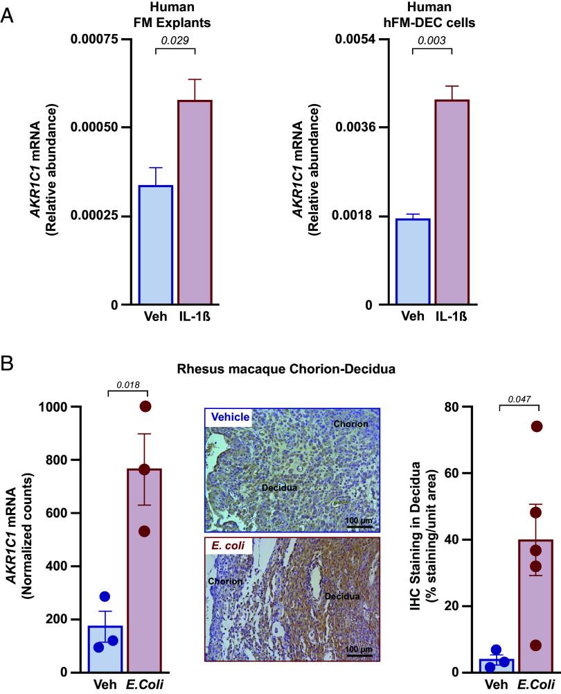 https://cdn.ncbi.nlm.nih.gov/pmc/blobs/c635/11194587/60eabae96ad9/pnas.2400601121fig02.jpg