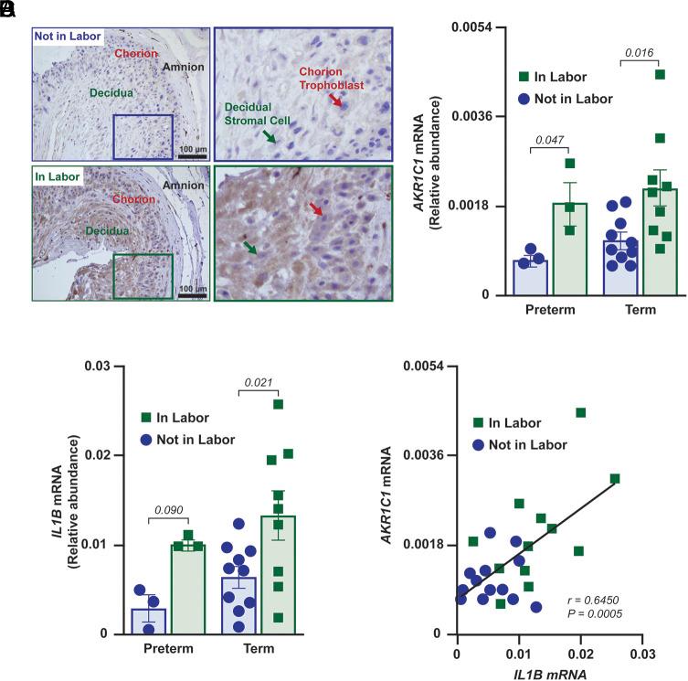https://cdn.ncbi.nlm.nih.gov/pmc/blobs/c635/11194587/b40f4819e11a/pnas.2400601121fig01.jpg